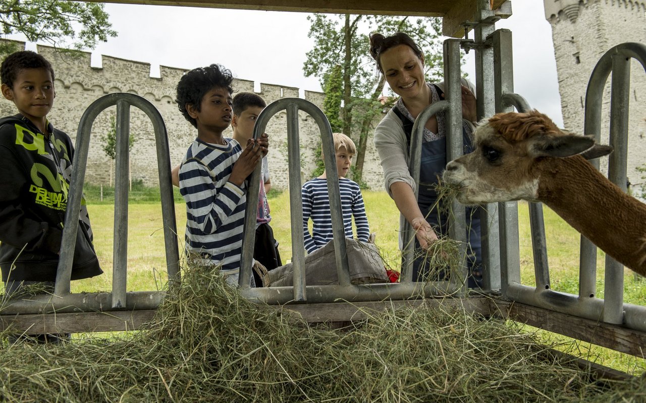 Bei der Stallarbeit darf sich auch einmal eine Schulklasse die Finger schmutzig machen.