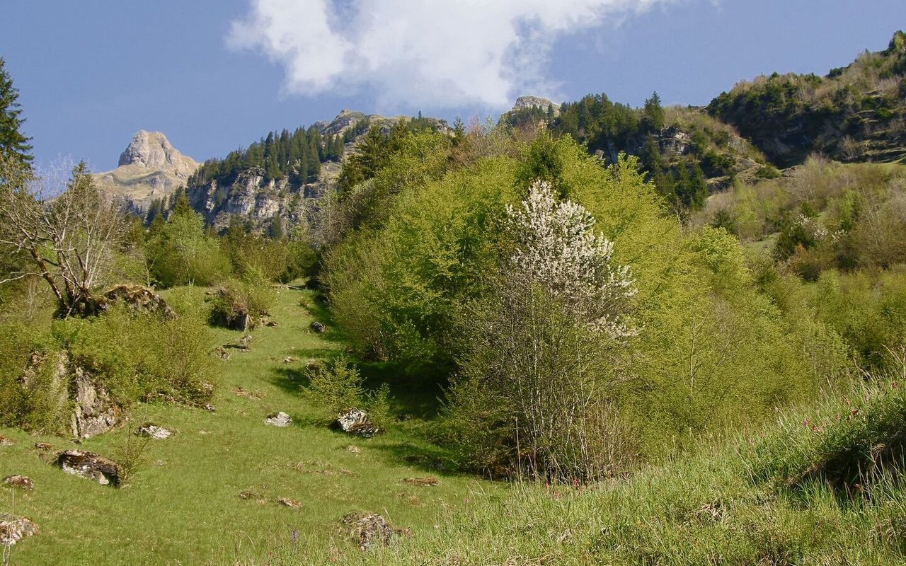 Das Gebiet am Hintisberg oberhalb der Bahnstation Burglauenen wird landwirtschaftlich bearbeitet.