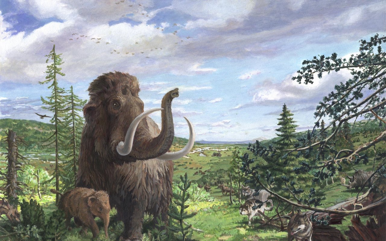 Eine Rekonstruktion des zürcherischen 
Wehntals aus der relativ warmen Phase im mittleren Abschnitt der letzten 
Eiszeit vor 45'000 Jahren.