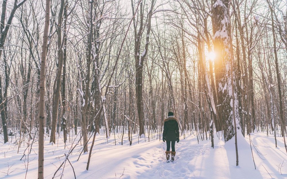 Gutes Schuhwerk, passende Kleidung und etwas Zeit: Mehr braucht es zum Spazieren nicht.  