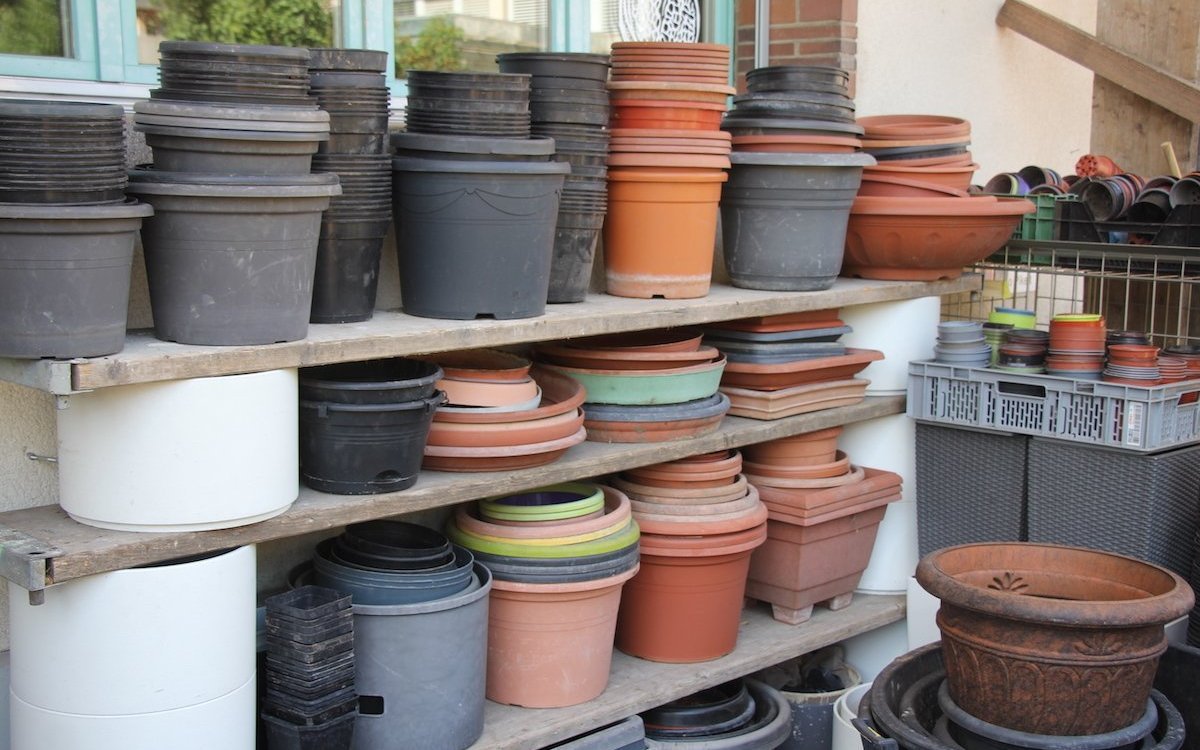 Im Pflanzenbrocki wird alles rund um Zimmerpflanzen angeboten. 