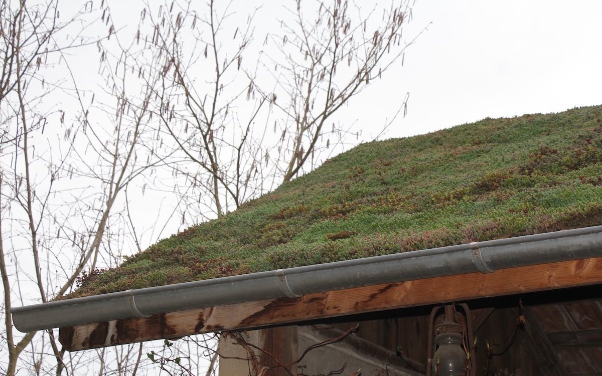 Dachbegrünungen, installiert durch Landschaftsgärtner.