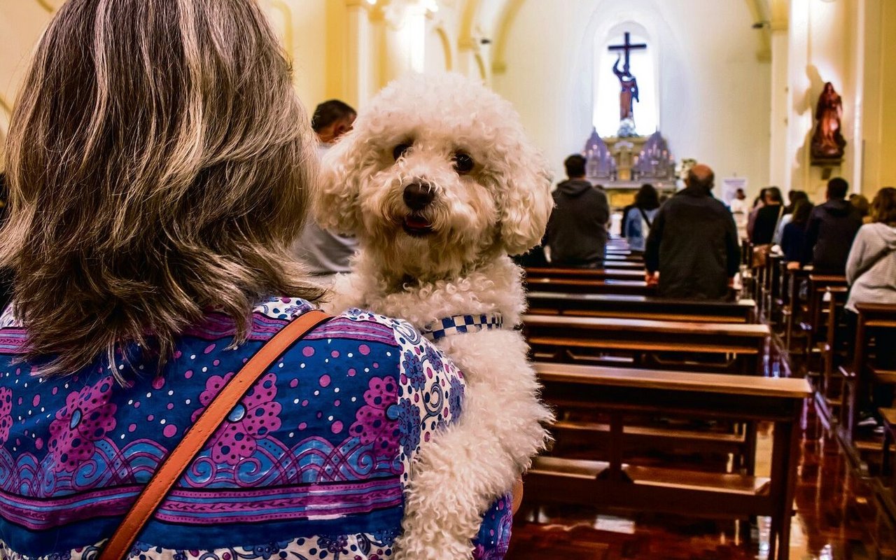 Auch Tiere sind Teil der Schöpfung, nicht nur der Mensch.