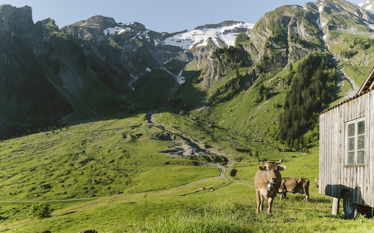 Alpweiden in der Biosphäre Entlebuch. 