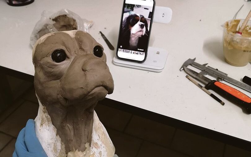 Ob Fell oder Skelett: Präparate von Haustieren können bei der Trauerbewältigung helfen. 