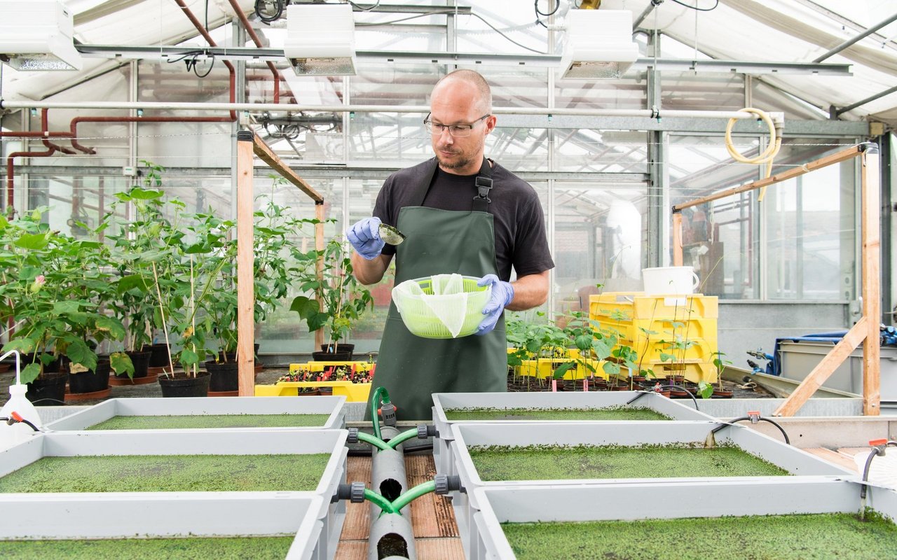 Timo Stadtlander hat beim Forschungsinstitut für biologischen Landbau (FiBL) zehn Jahre Erfahrung mit dem Anbau von Wasserlinsen gesammelt.