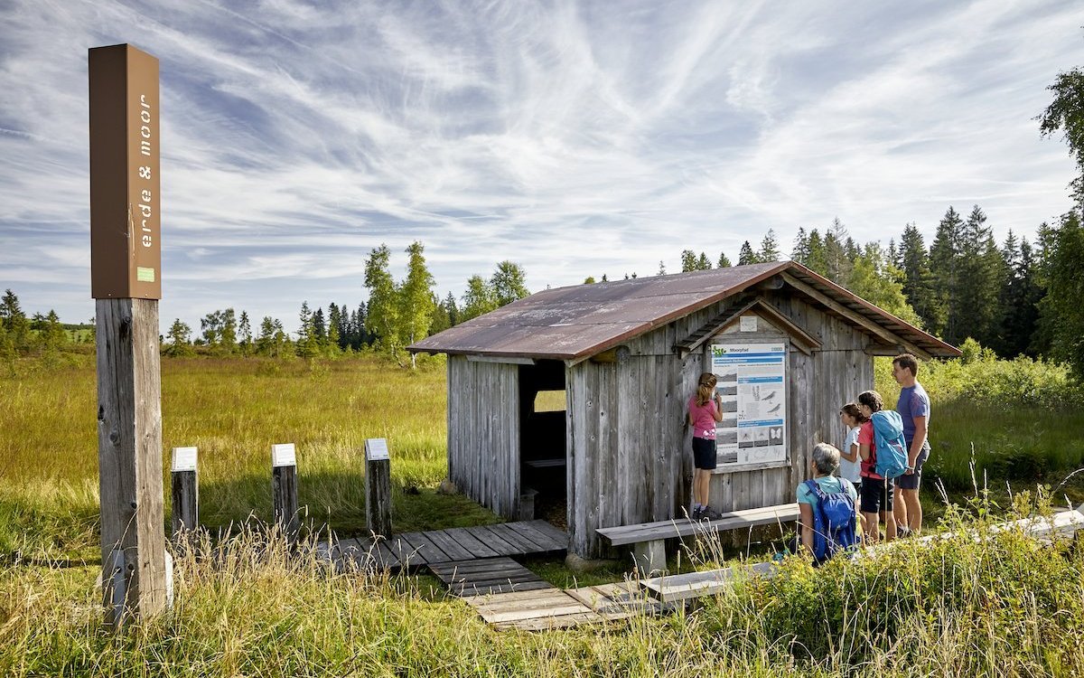Unterwegs im Moor mit Informationen und der Möglichkeit zur Beobachtung von Unterständen aus. 