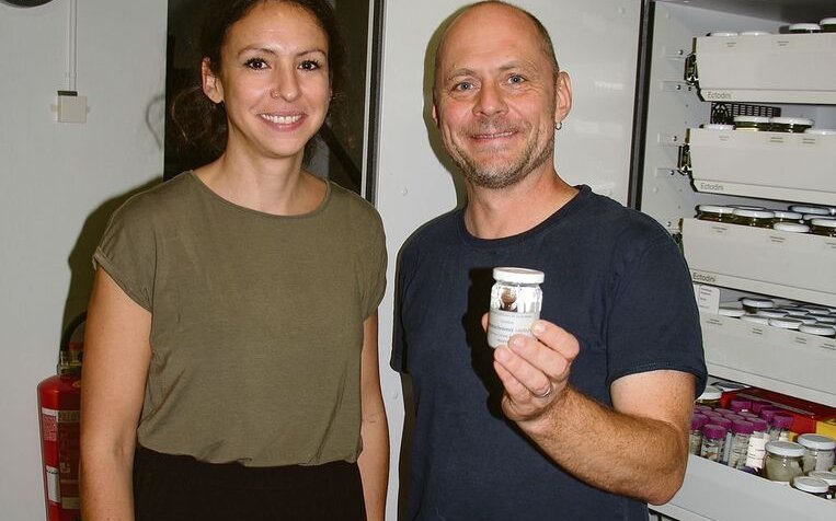 Dr. Fabrizia Ronco und Prof. Dr. Walter Salzburger in der Universität Basel mit dem Holotypus des Buntbarschs Telmatochromis salzburgeri aus dem Tanganjikasee.