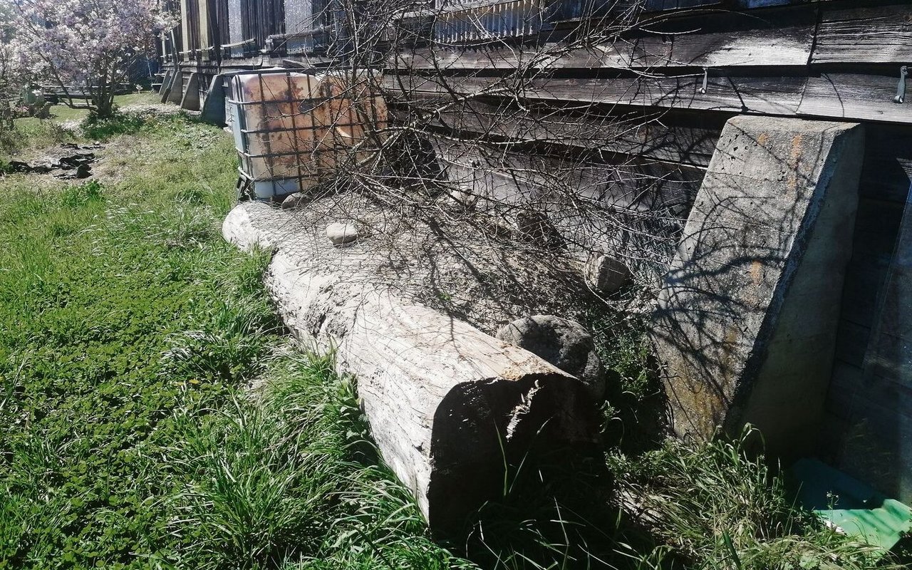 Sandlinsen, wie sie im Rahmen des Pilotprojekts angelegt wurden, sind für bodenbrütende Wildbienen optimale Nistplätze.