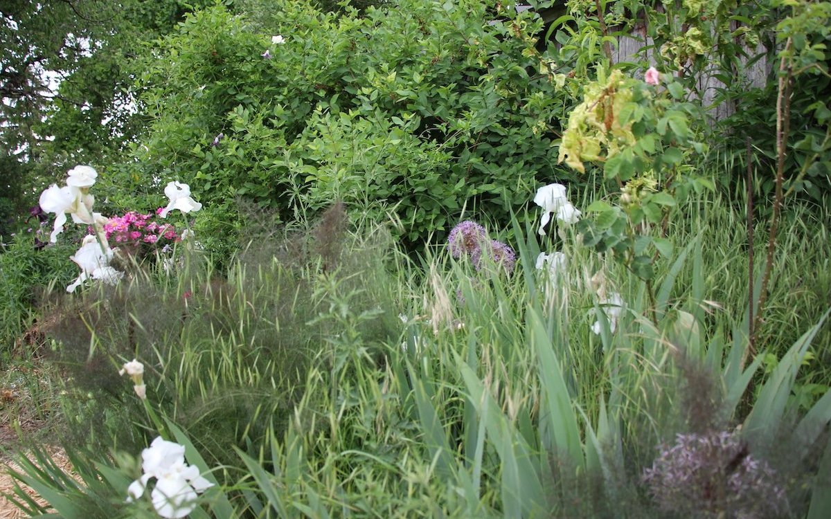 Jeder Garten weist ganz unterschiedliche Standorte auf. 
