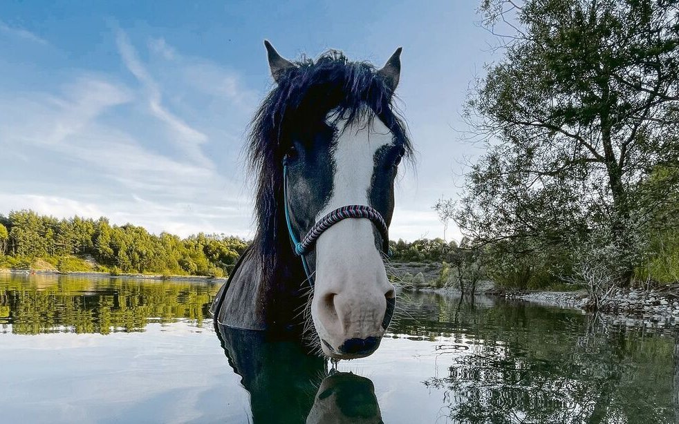 Ein kühles Bad lieben Pferd und Besitzerin gleichermassen.
