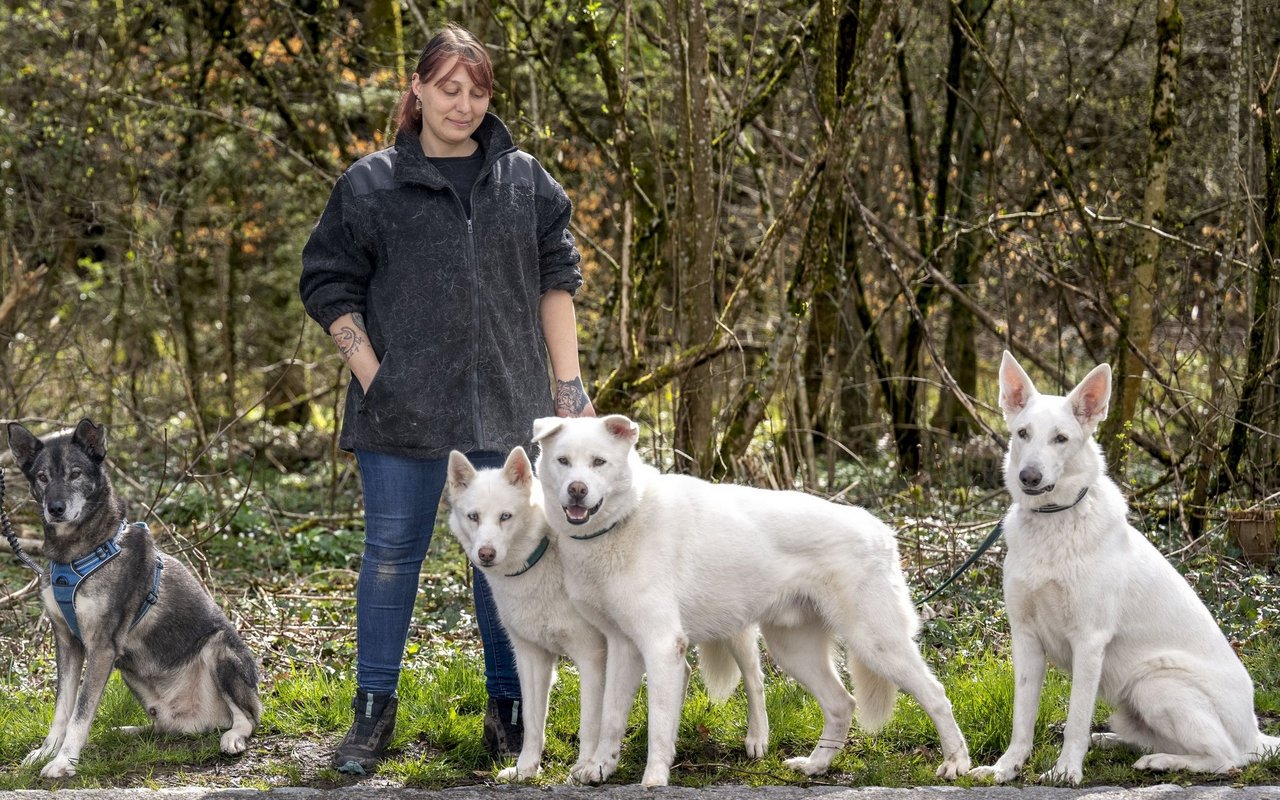 Jasmine Hügi hat Wotans Tierhilfe 2022 gegründet.