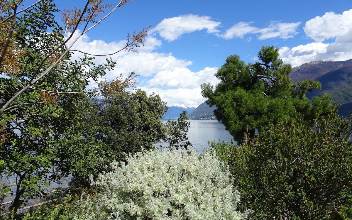 Die Vegetation ist in verschiedene geographische Bereiche gegliedert. 