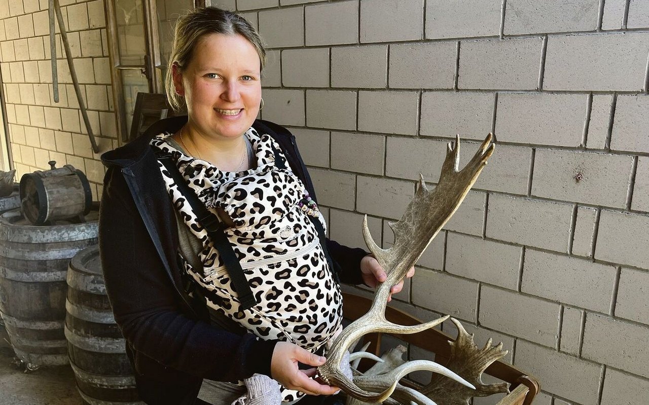 Im Damhirschgehege findet Deborah Gafner auch abgeworfene Geweihstangen.