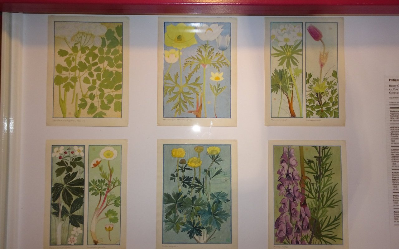 Philippe Robert war ein begnadeter Pflanzenmaler. 