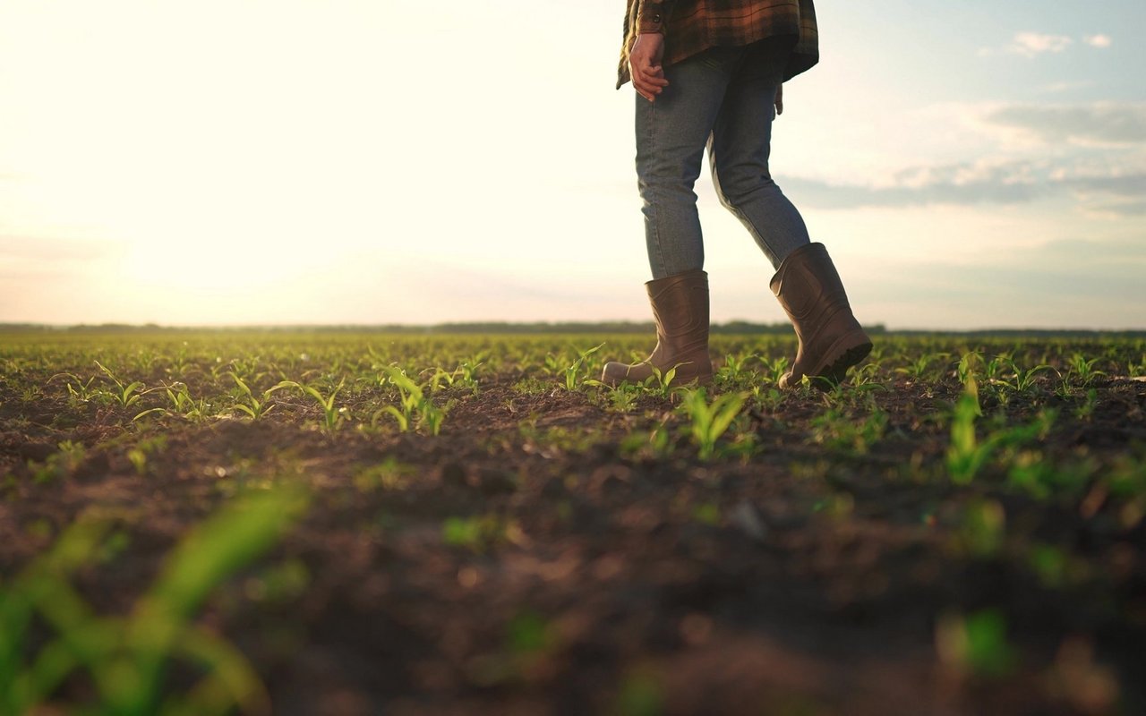 Frauen prägen die Schweizer Landwirtschaft auf vielfältige Weise – ob als Betriebsleiterinnen, Agronominnen oder eingeheiratete Mitbäuerinnen – und stehen dabei oft vor strukturellen Hürden, die neue Perspektiven und Engagement erfordern.