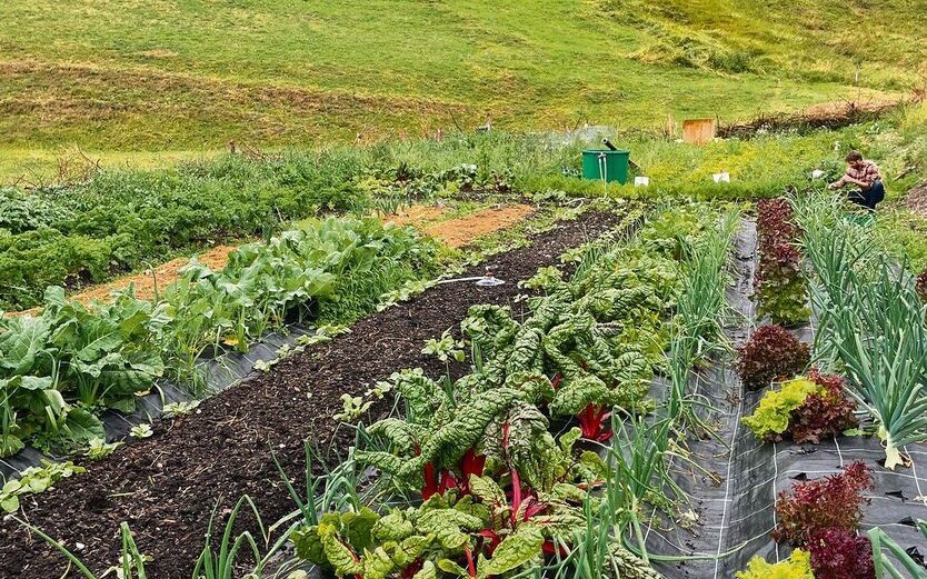 Zu sehen, was auf 1800 Meter über Meer alles wächst, sei einfach paradiesisch, sagt Nina Hauser.
