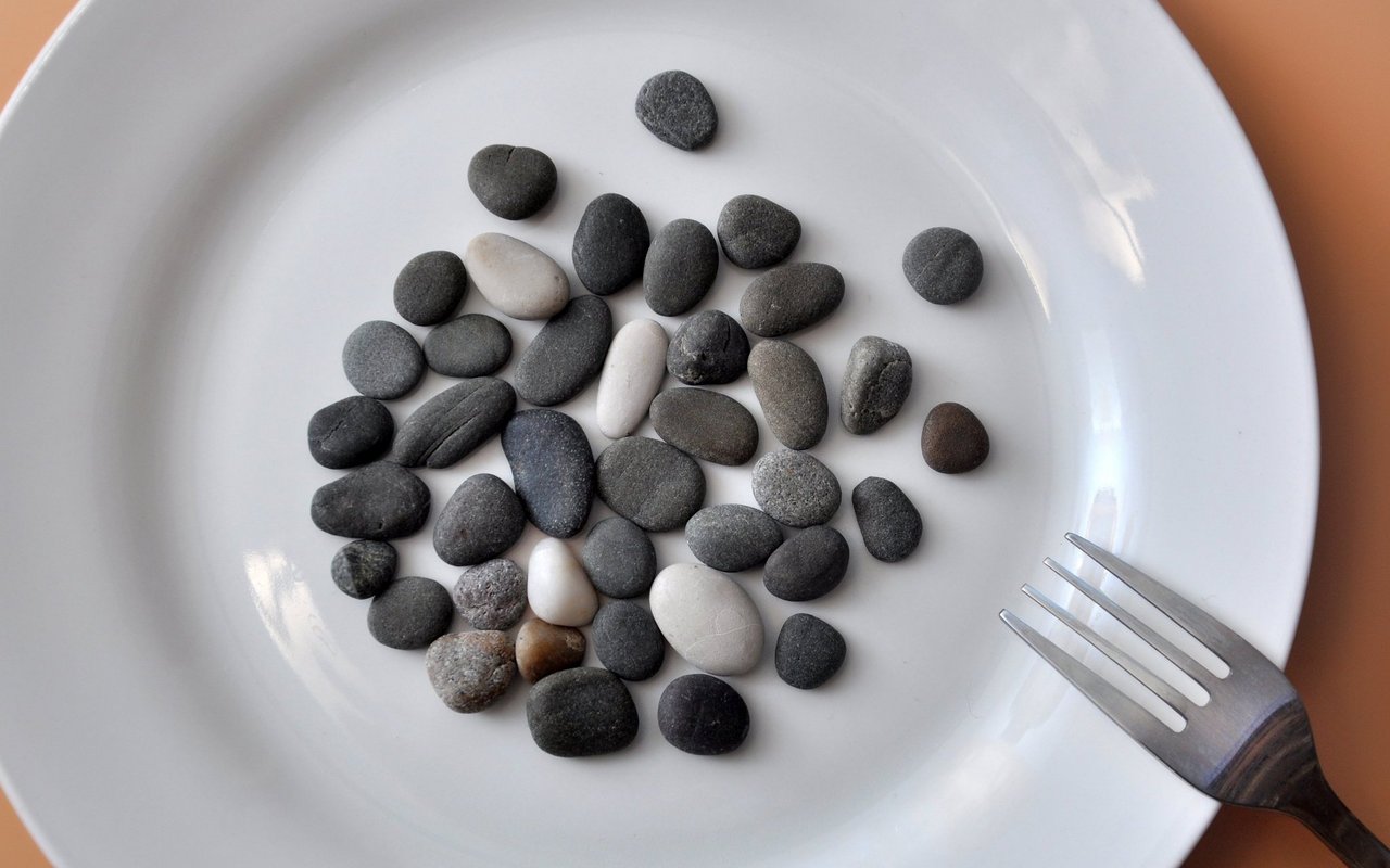 Für einige Tiere gehören Steine auf den Speiseplan.