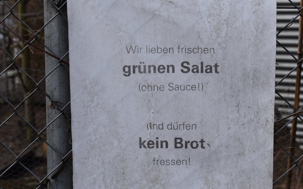 Da Zaungäste die Hühner früher mit Pizza fütterten, wurde dieses Schild angebracht.