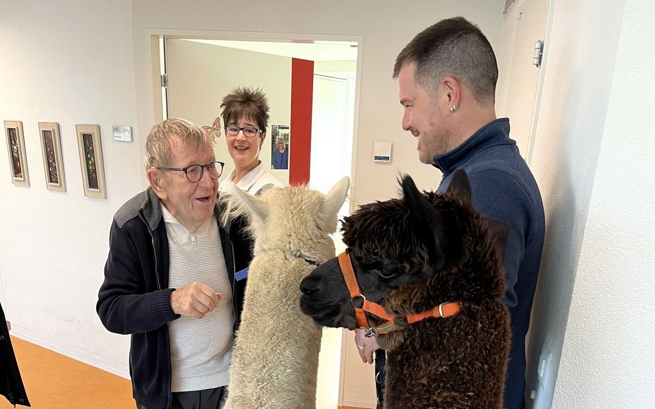 Wenn Thom Bernard mit seinen Tieren unterwegs ist, öffnen sich Türen und Herzen. 