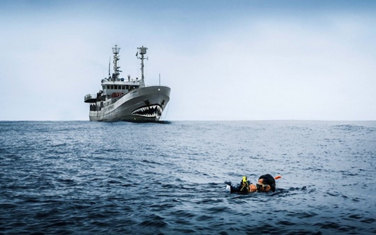 Der mit dem «NaturVision» Publikumspreis auszeichnete Film «Helden der Meere» begleitet den Fotografen York Hovest, um die ganze Welt auf der Suche nach Heldinnen und Helden der Natur.