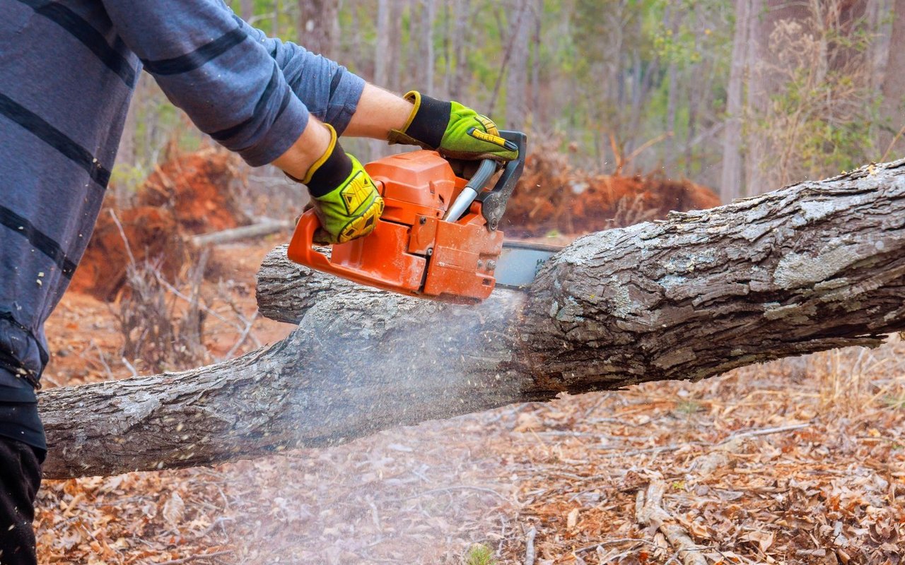 Mehr als jede fünfte Person, die in der Forstwirtschaft tätig ist, wurde 2023 Opfer eines Arbeitsunfalls.