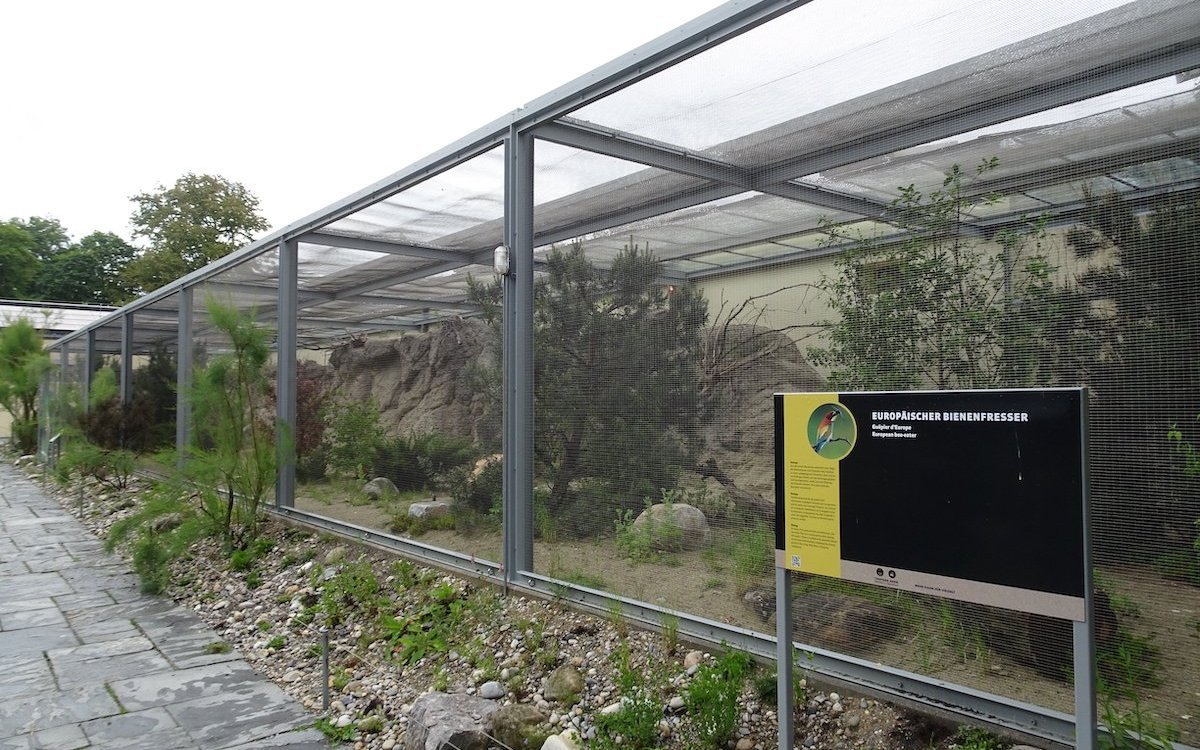 Aussenvoliere für Bienenfresser im Tierpark Bern. 