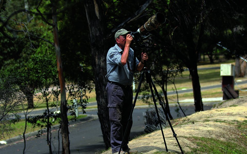 Karl-Heinz Lambert, 1940 in Bayern geboren, ist ein bekannter Naturfotograf und Papageienexperte, der heute in Europa fotografiert.