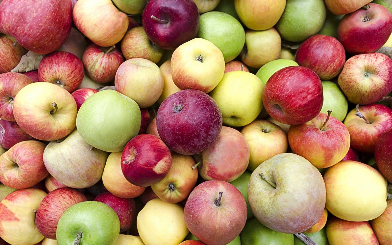 Äpfel produzieren besonders viel Ethylen.