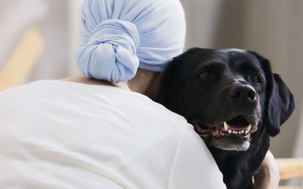 Nähe, Wärme, Trost: Therapietiere können Menschen mit Erkrankungen oder besonderen Bedürfnissen helfen, im Leben wieder Fuss zu fassen.