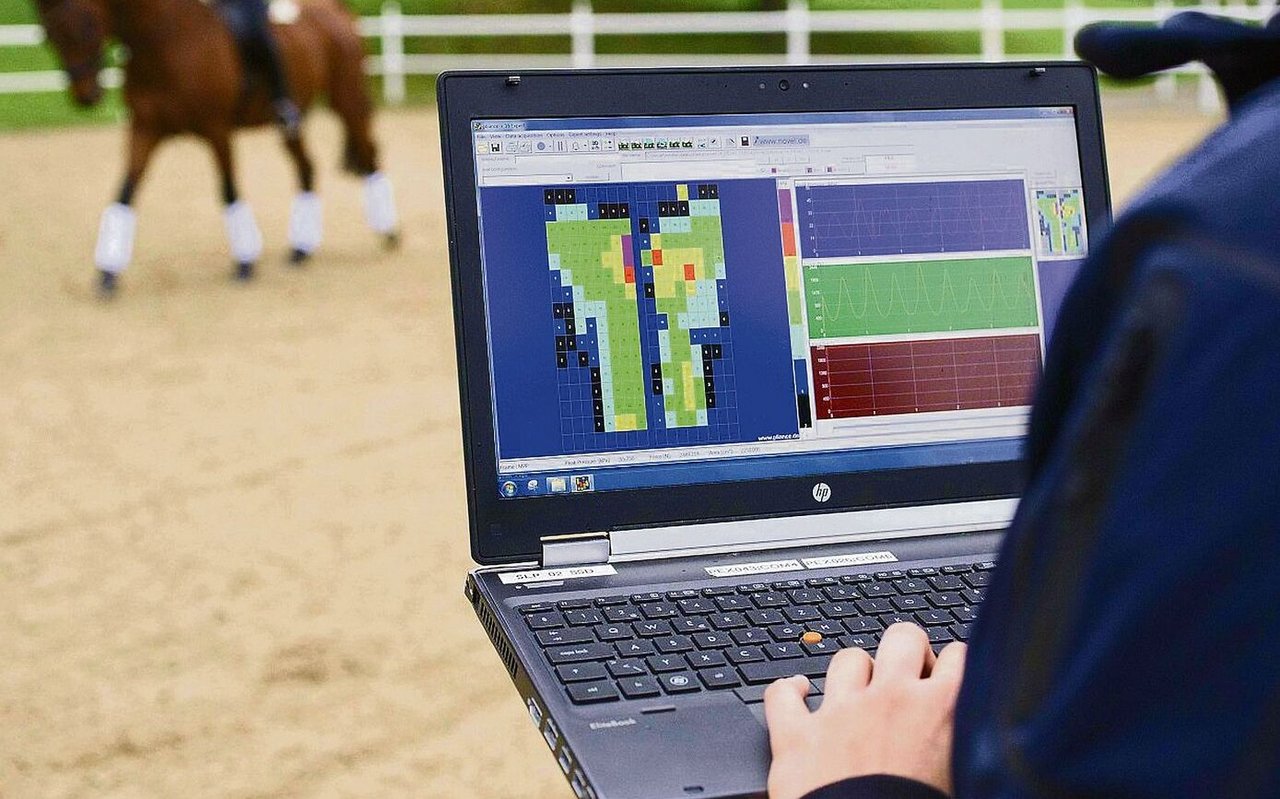 Eine der wichtigsten unterstützten Studien dreht sich um die Rückengesundheit von Reitpferden.