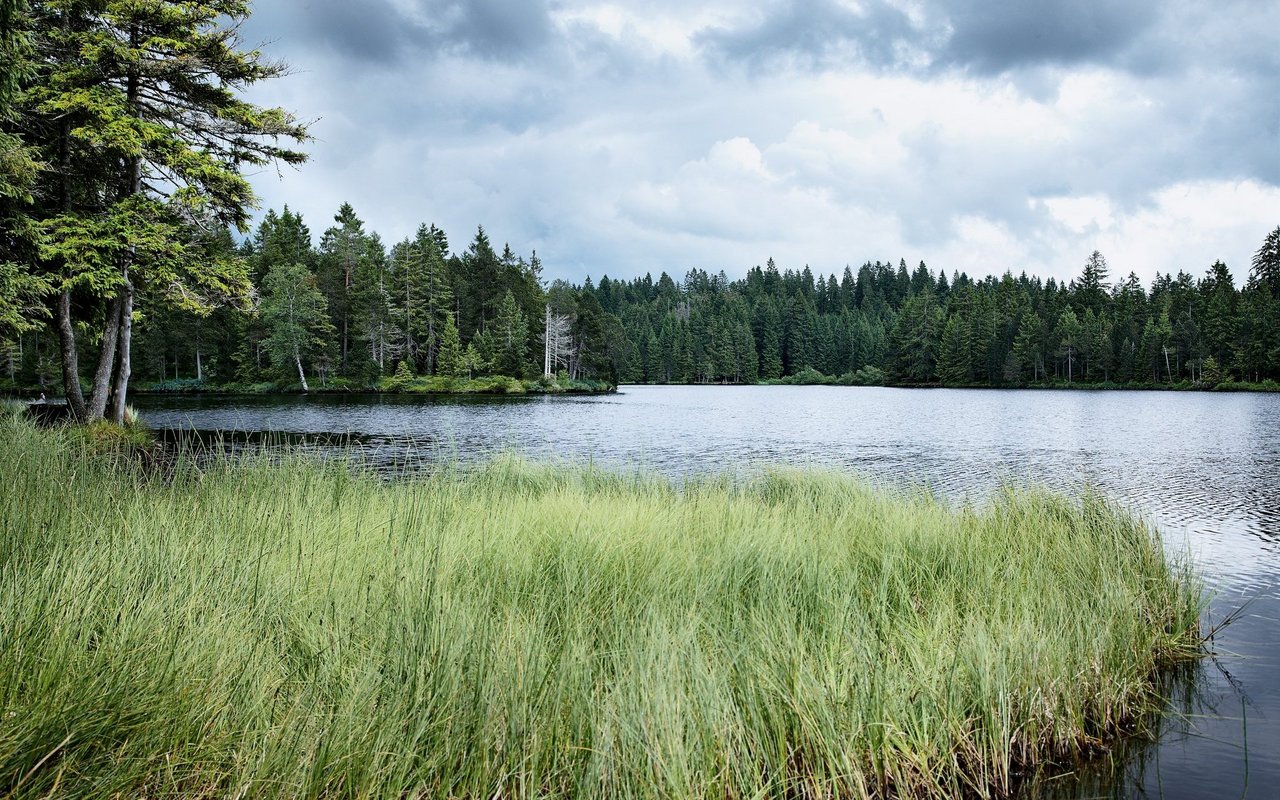Der Etang de la Gruère ist mystisch - wenn nicht zu viele Leute unterwegs sind.