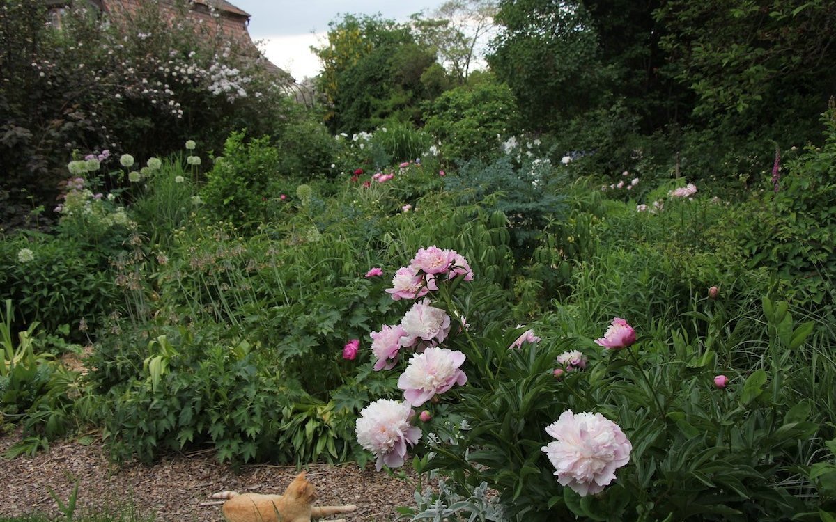 Der Staudengarten hat sein Vorbild in den englischen Gärten. 
