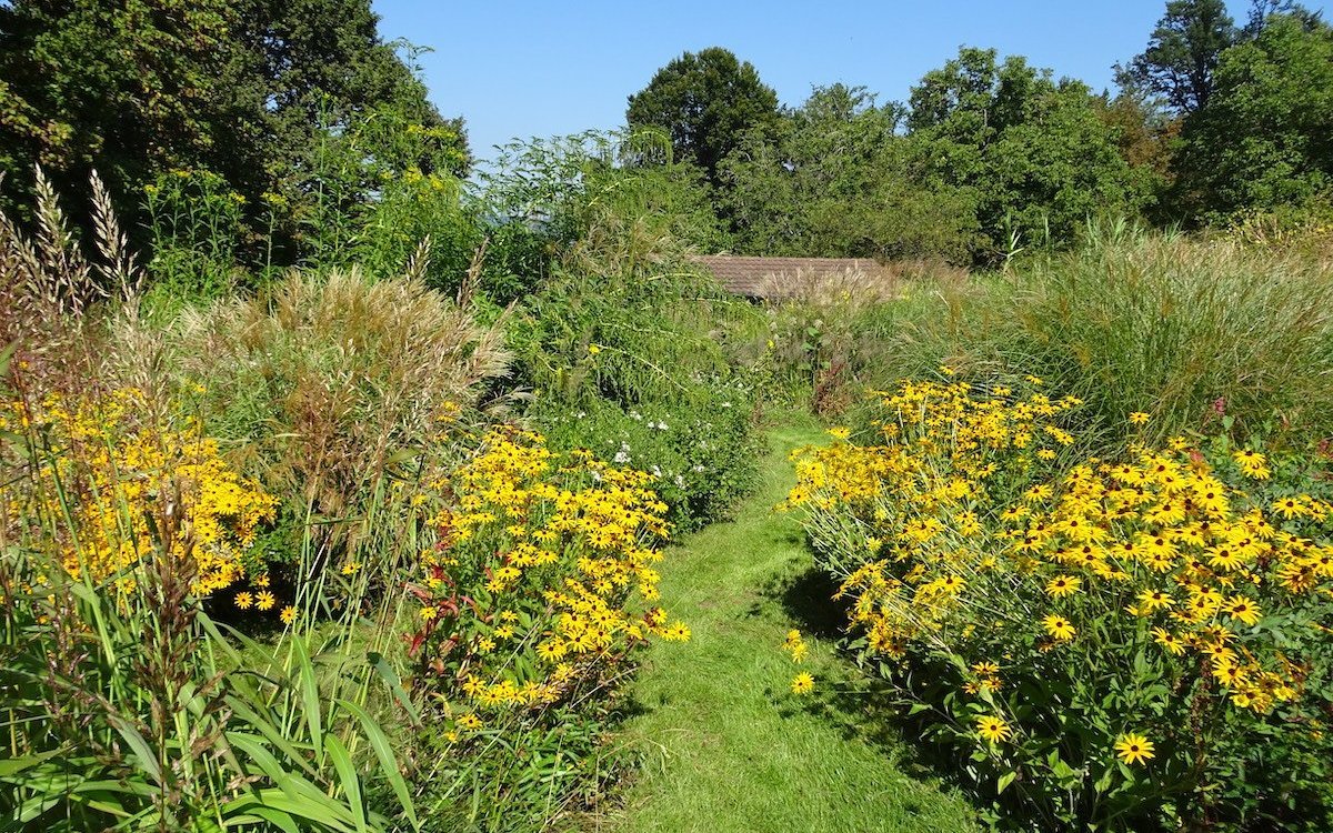 Damit Pflanzen gut gedeihen, brauchen sie einen ihrer Art entsprechenden Standort. 