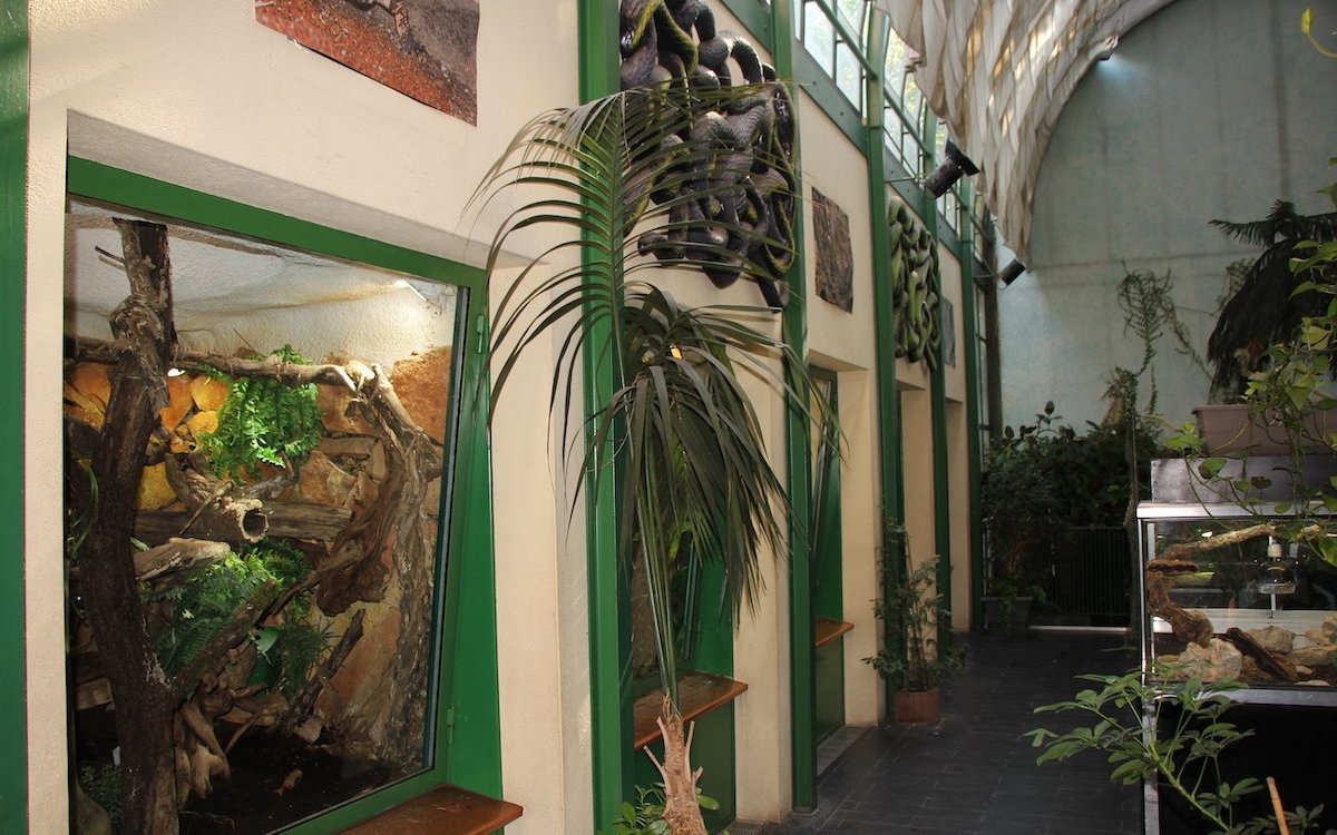 Terrarien im Vivarium von Meyrin (GE).