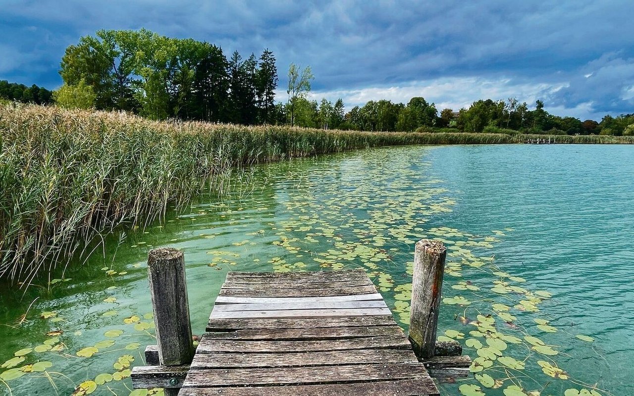In Naturschutzgebieten wie dem Pfäffikersee vermitteln Ranger zwischen Natur und Besuchern.