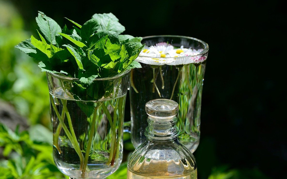 Viele Wildkräuter lassen sich problemlos essen oder zu Nützlichem verarbeiten. 