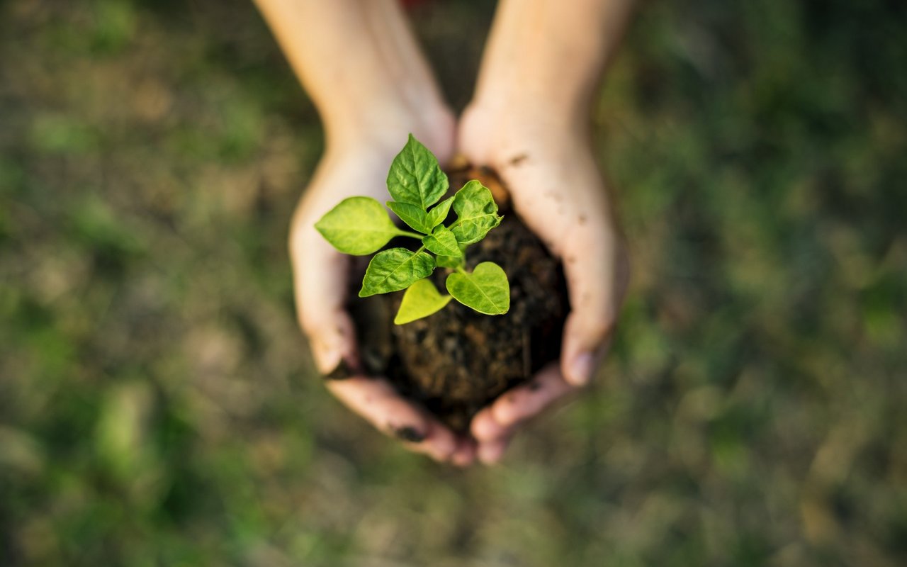 Wir entziehen der Natur zu viele Rohstoffe.