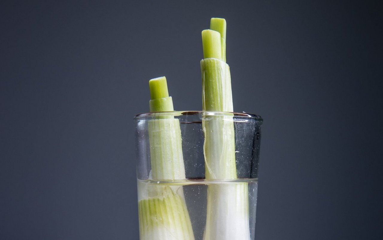 Auch Frühlingszwiebeln sind gute Kandidaten für das Projekt.