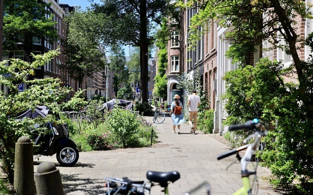 Werden Pflanzen bei der Stadtplanung einbezogen, sieht es gleich viel angenehmer aus. 