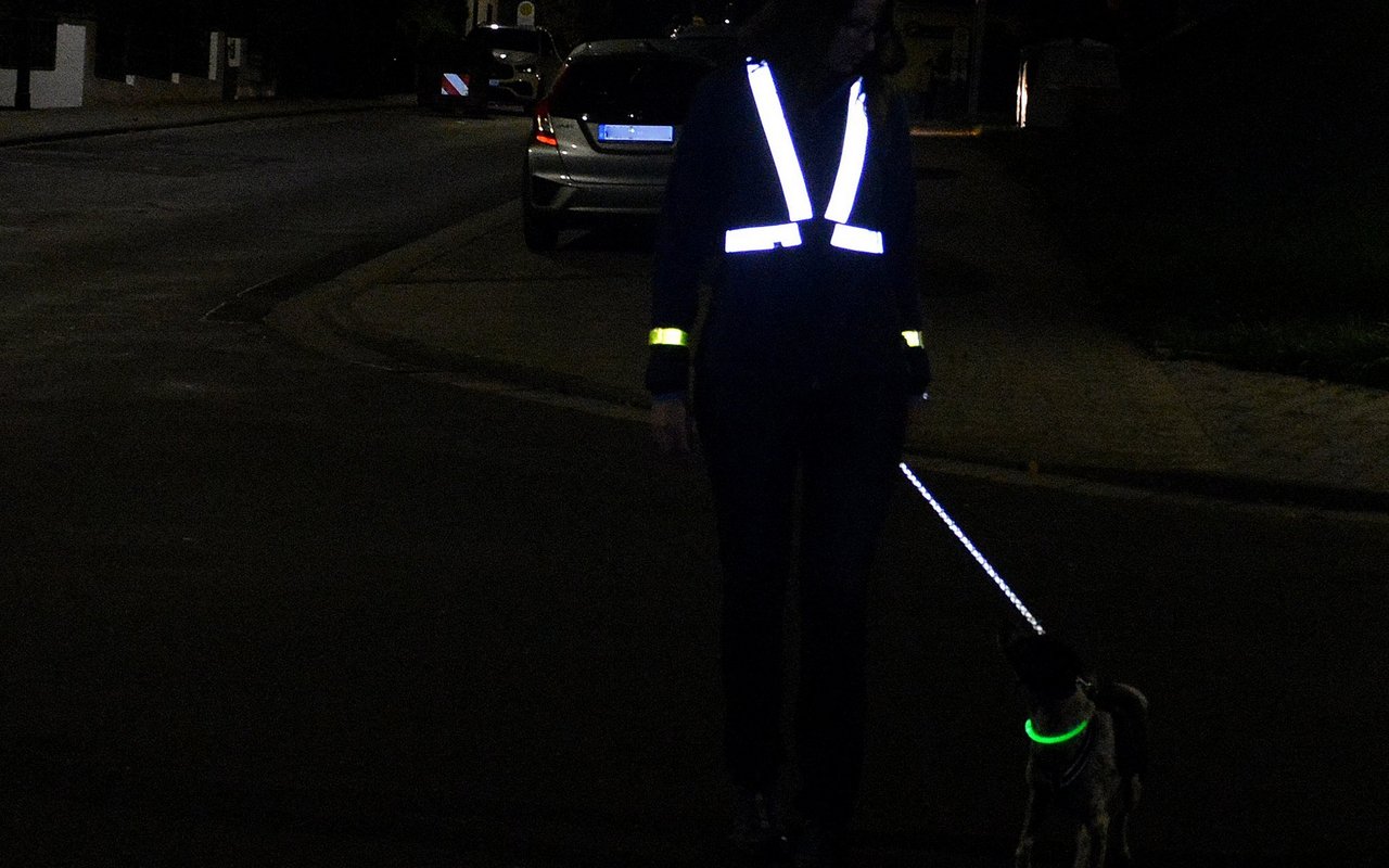Leuchtwesten, LED-Halsbänder und Leuchtgeschirre machen Hunde und ihre HalterInnen sichtbar.