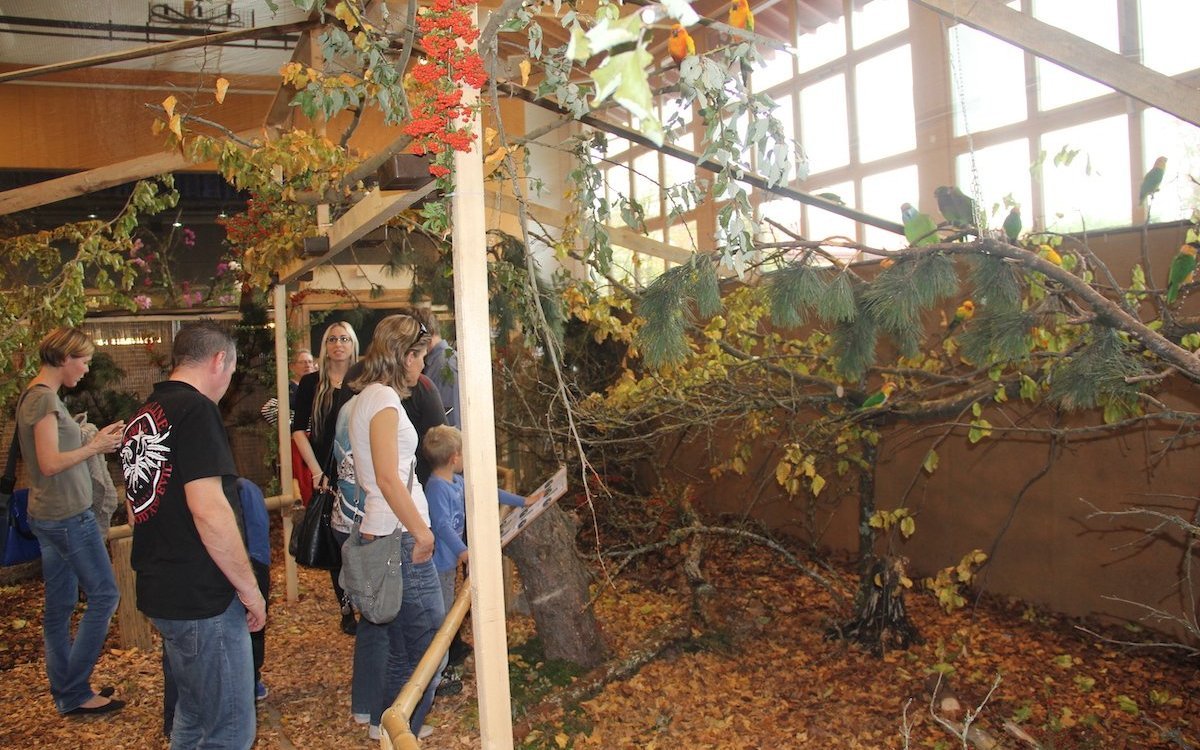 Eine grosse Attraktion in Russikon sind die begehbaren Freiflüge.  