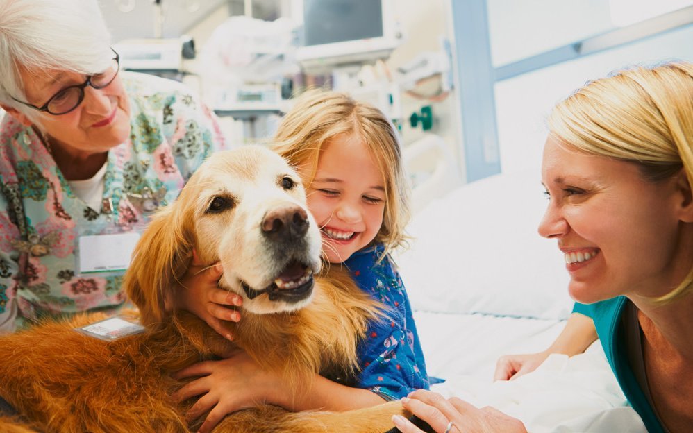 Neue Chance, neue Hoffnung: Ein Tier kann Menschen mit körperlichen oder psychischen Erkrankungen helfen, in Beziehung zu
treten und sich auf eine Therapie einzulassen.