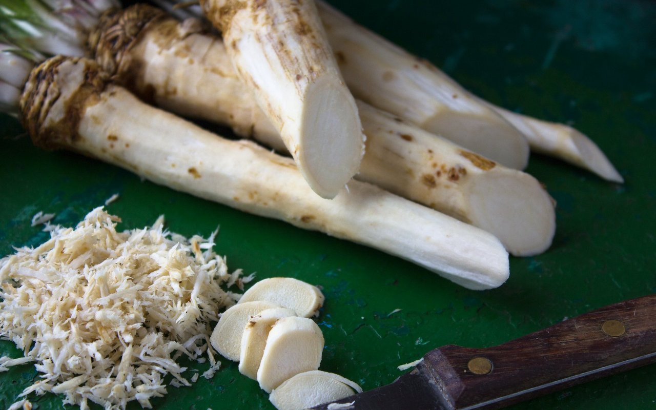 Der Meerrettich kann vielfältig eingesetzt werden. 