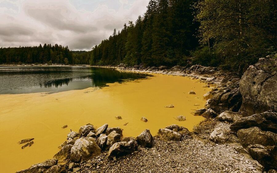 Auch Knäuelgras sorgt für Heuschnupfen.