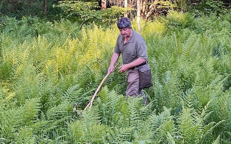 Im luzernischen Ruswil sucht Martin Stäger nach den jungen Rehen