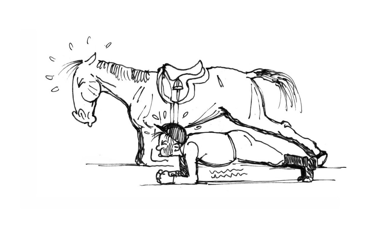 Pferd wie Reiter sollten in einem guten Trainingszustand sein.