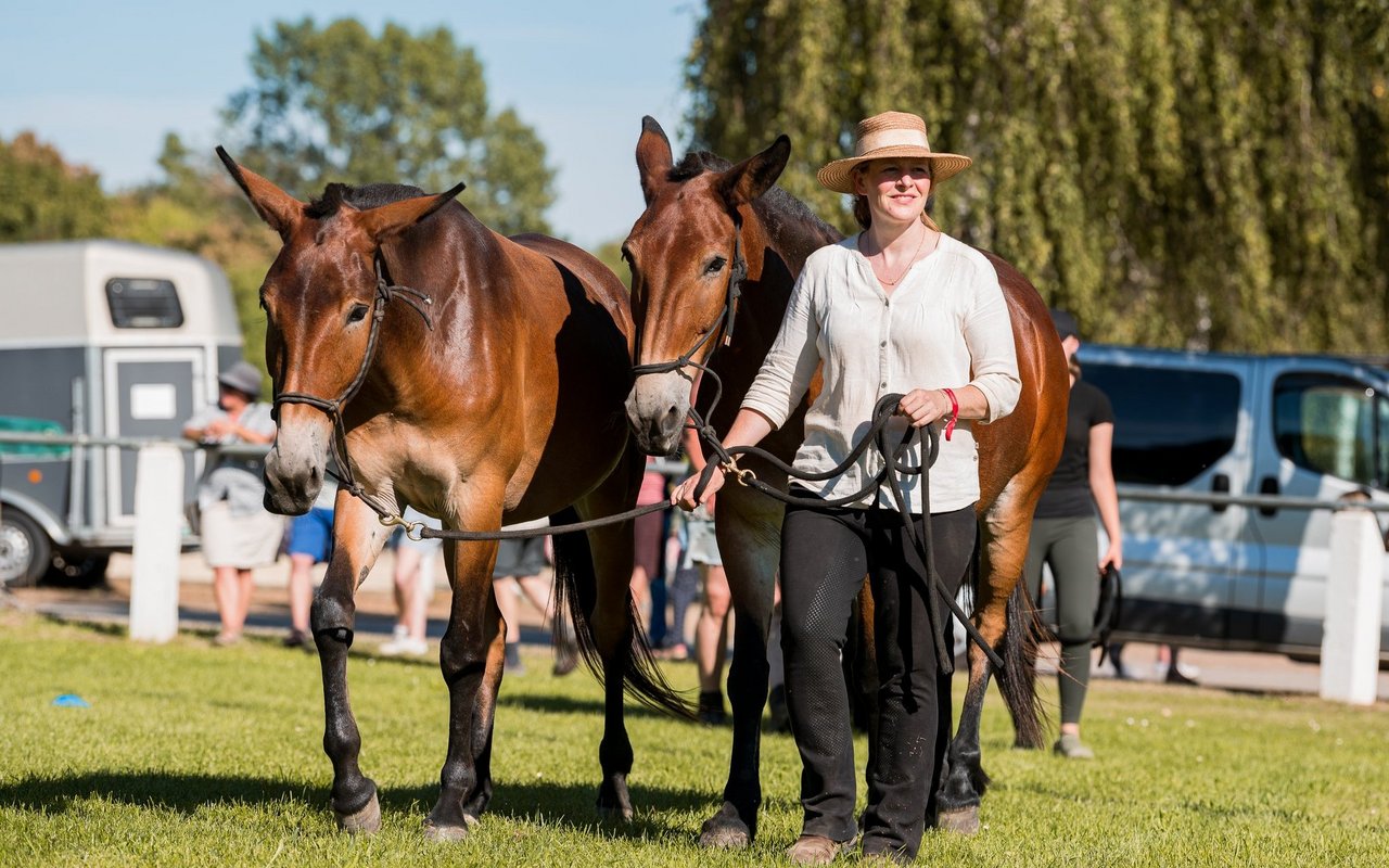 Die Präsidentin der IG Maultier Linda Peter macht mit ihren Tieren regelmässig Wanderritte, Planwagenfahrten und Arbeitseinsätze.
