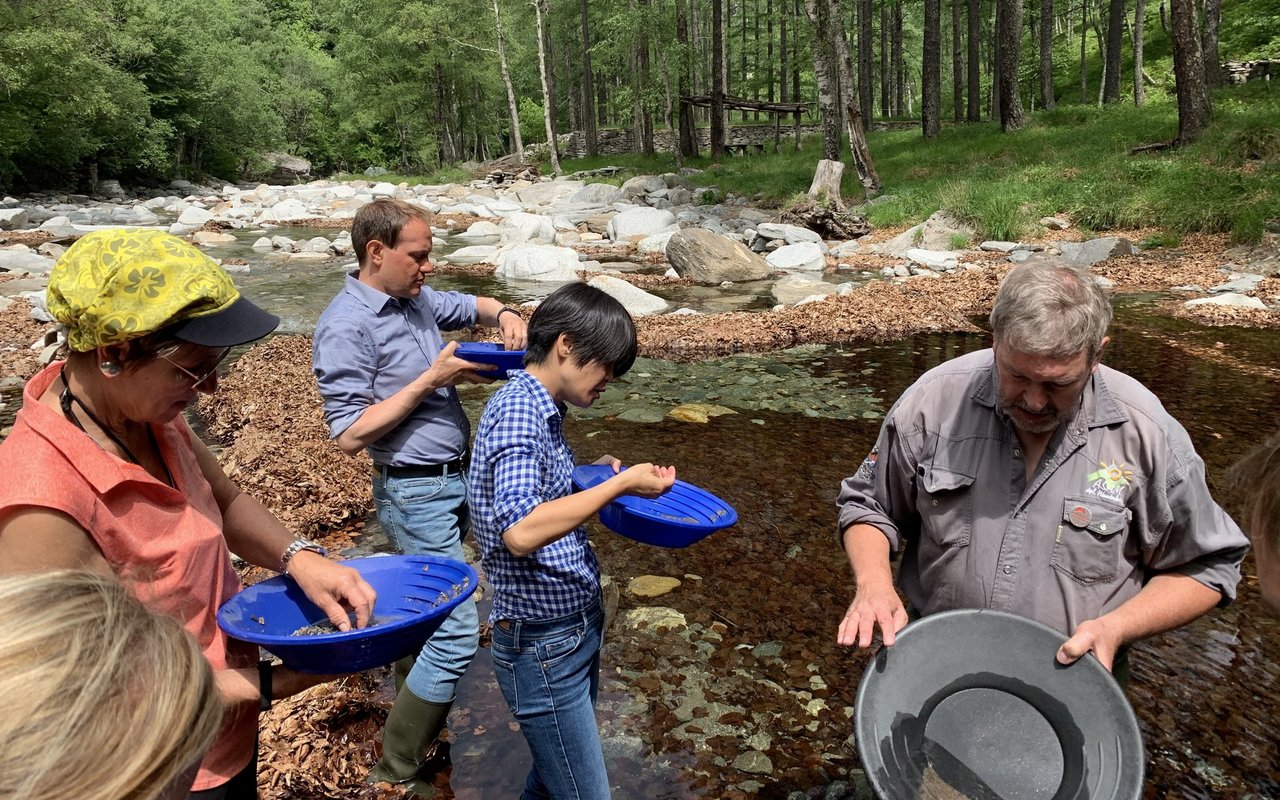 Fleissige Goldwäscher auf der Suche nach glitzerndem Pfanneninhalt.