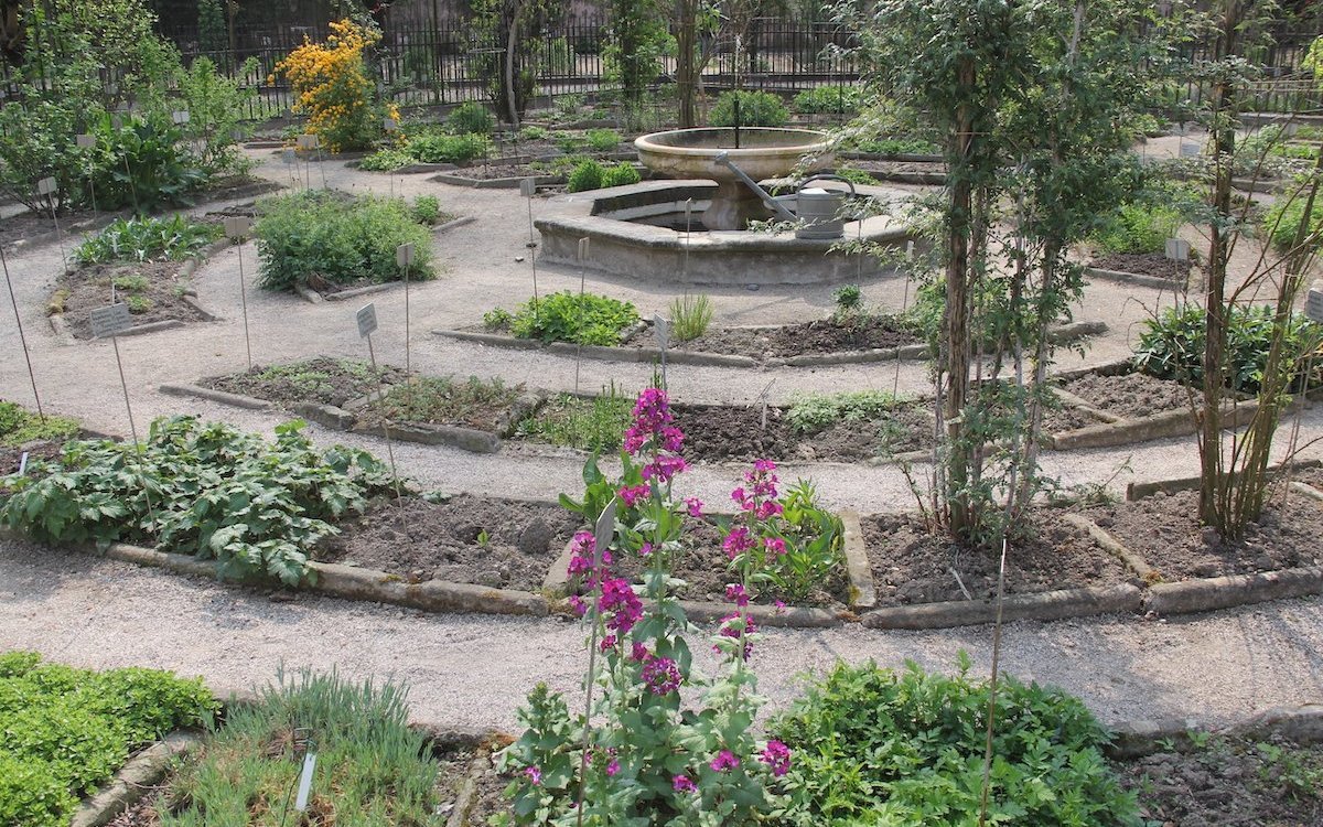 Der Botanische Garten von Padua ist der älteste überhaupt. Der historische Kern mit den sektorartigen Beeten wurde nicht verändert.  